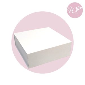 BOX MAGNETICO "M" 25x25x9CM
