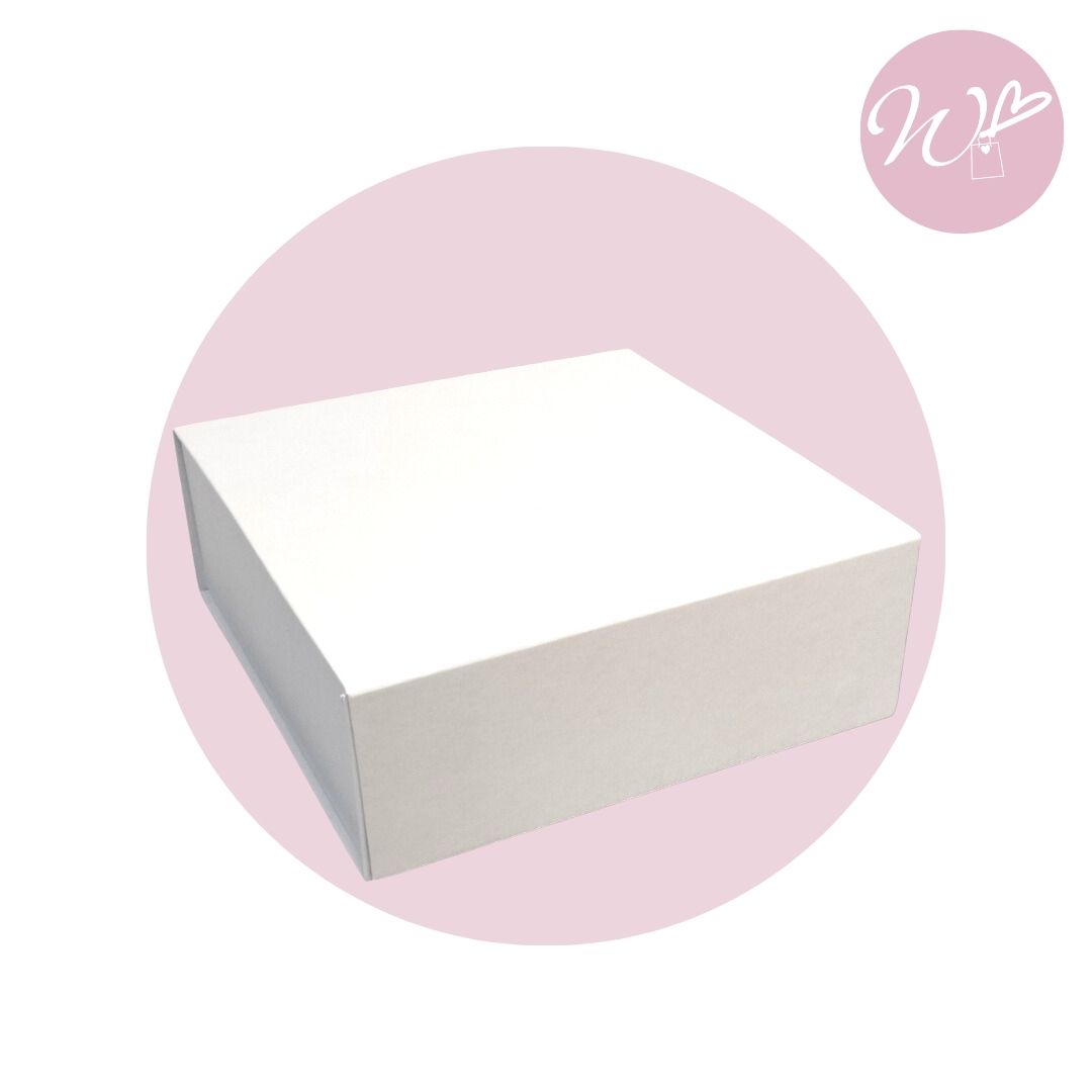 BOX MAGNETICO "M" 25x25x9CM