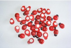 Coccinella in legno 18mm
