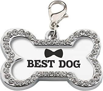 Medaglietta “BEST DOG”